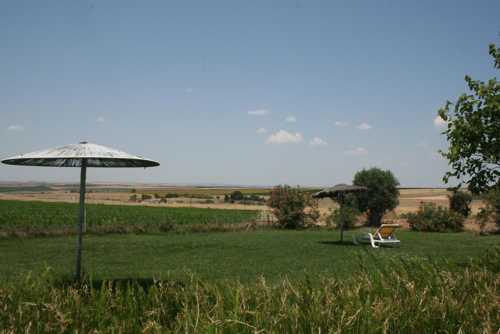 Monte Da Morena Agro-Turismo Serpa Exterior photo