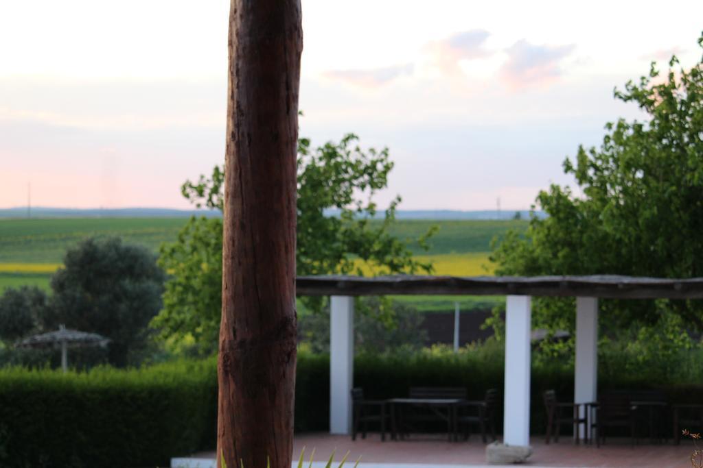 Monte Da Morena Agro-Turismo Serpa Exterior photo