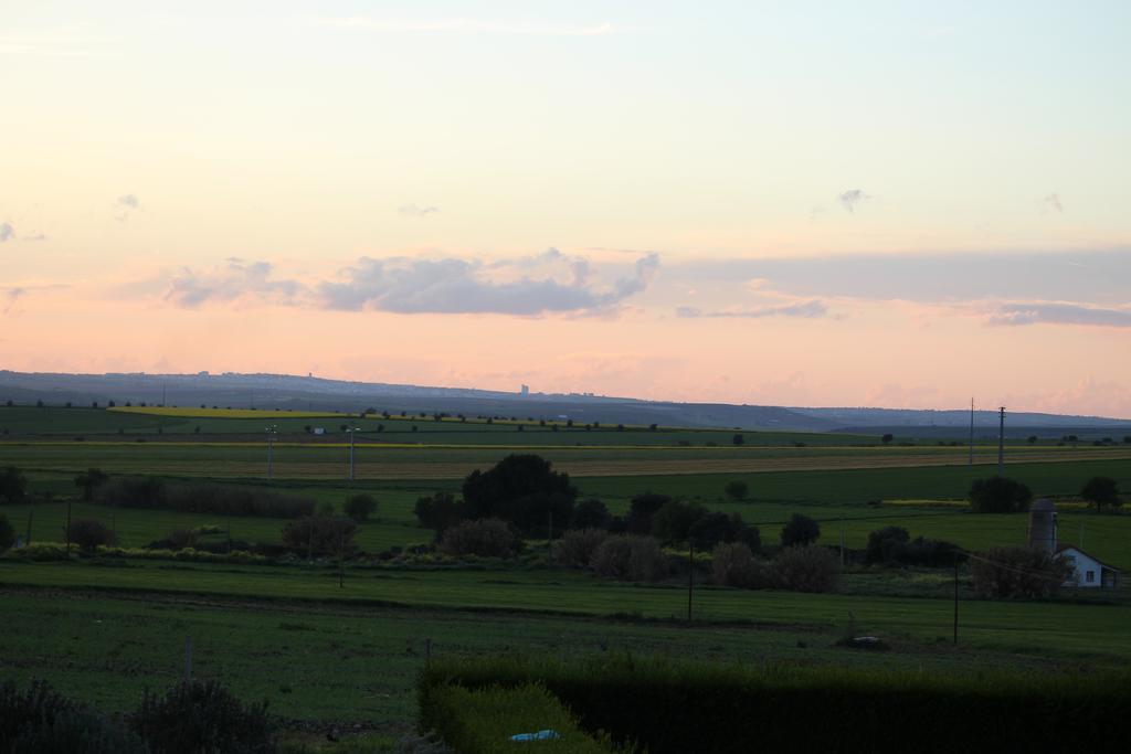 Monte Da Morena Agro-Turismo Serpa Exterior photo